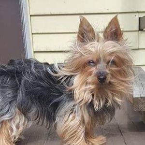 Meet your Posher, Edward